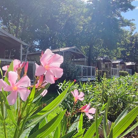 Camping Capfun La Breteche Les Épesses Εξωτερικό φωτογραφία